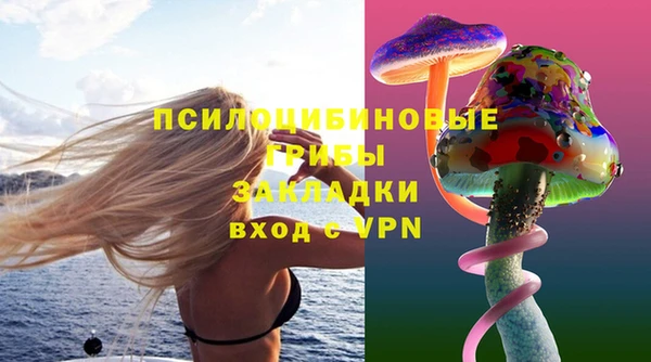 мяу мяу мука Жердевка