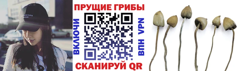 Галлюциногенные грибы Magic Shrooms  Богородицк 