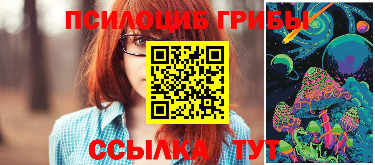купить   Галлюциногенные грибы Psilocybine cubensis  Вход с VPN  Богородицк 